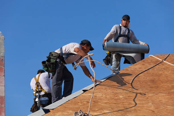 Best Roof Restoration Services  in Redwood City, CA